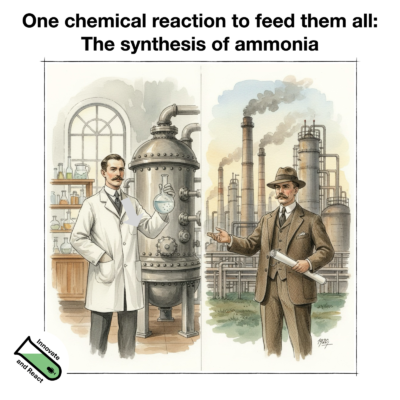 One chemical reaction to feed them all: The synthesis of ammonia